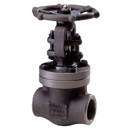 API 602 Globe valve